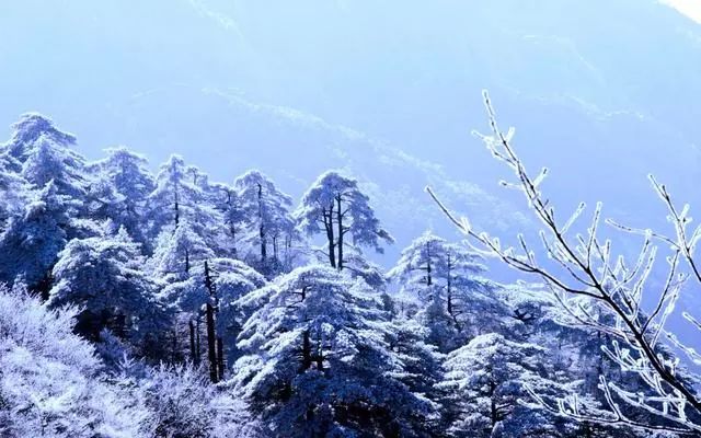雪后黃山風景宛如人間仙境，舞一曲雪中霓裳羽