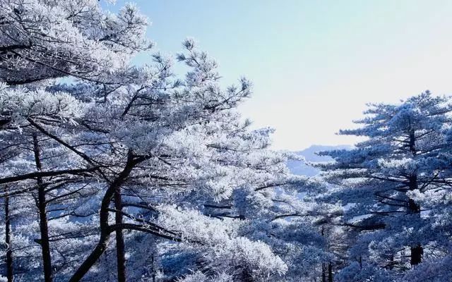 雪后黃山風景宛如人間仙境，舞一曲雪中霓裳羽