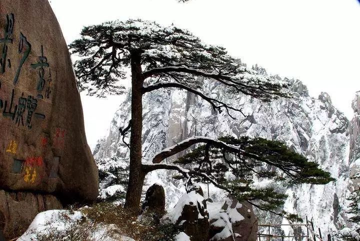 雪后黃山風(fēng)景宛如人間仙境，舞一曲雪中霓裳羽
