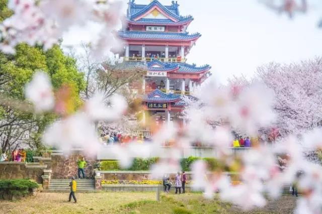 8處風(fēng)景如詩如畫，春天最值得去的地方！