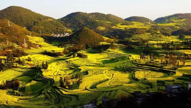 8處風(fēng)景如詩(shī)如畫，春天最值得去的地方！