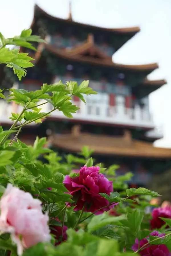 8處風(fēng)景如詩(shī)如畫，春天最值得去的地方！