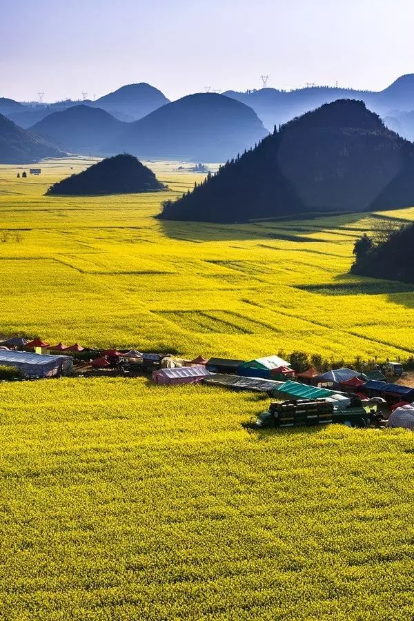 美到窒息的中國最美油菜花海，邂逅花海風(fēng)景！