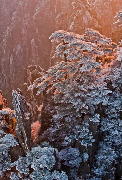 雪后黃山風(fēng)景宛如人間仙境，舞一曲雪中霓裳羽