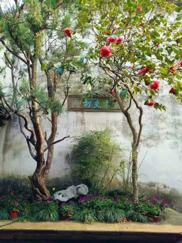 中國的四大名園，意想不到的風(fēng)景園林美!