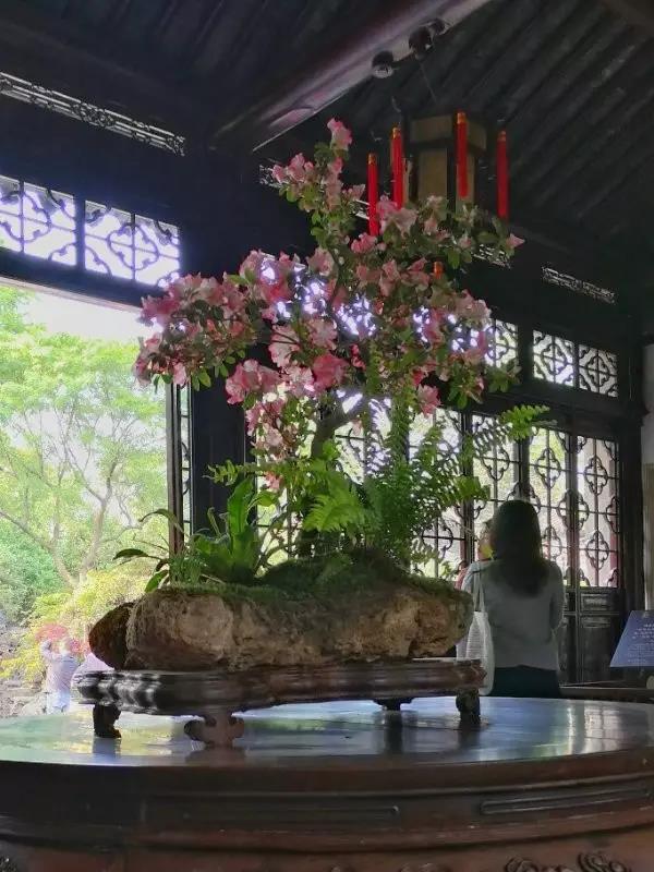 中國(guó)的四大名園，意想不到的風(fēng)景園林美!