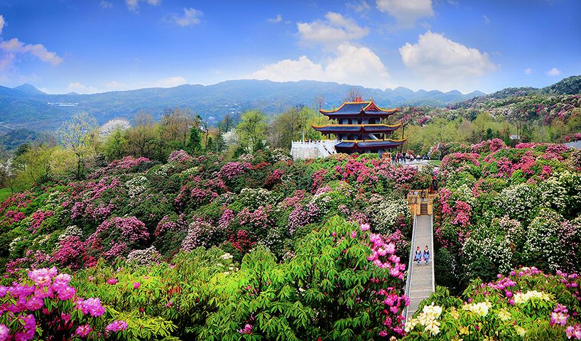 最美貴州風景，用山水風景點亮貴州文化！