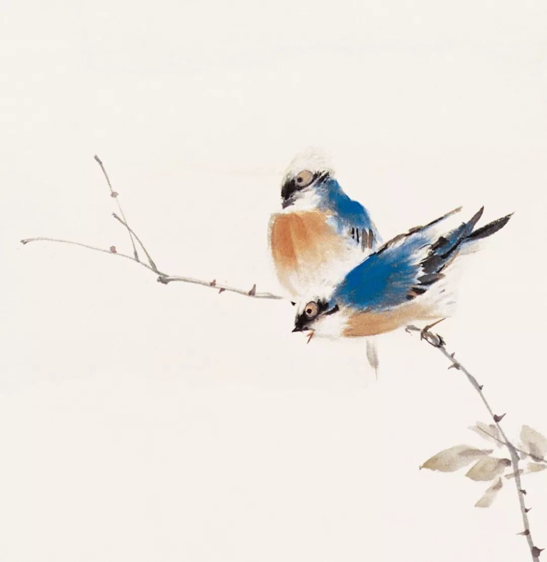 100幅禽鳥百圖，國(guó)畫鳥類美醉了！