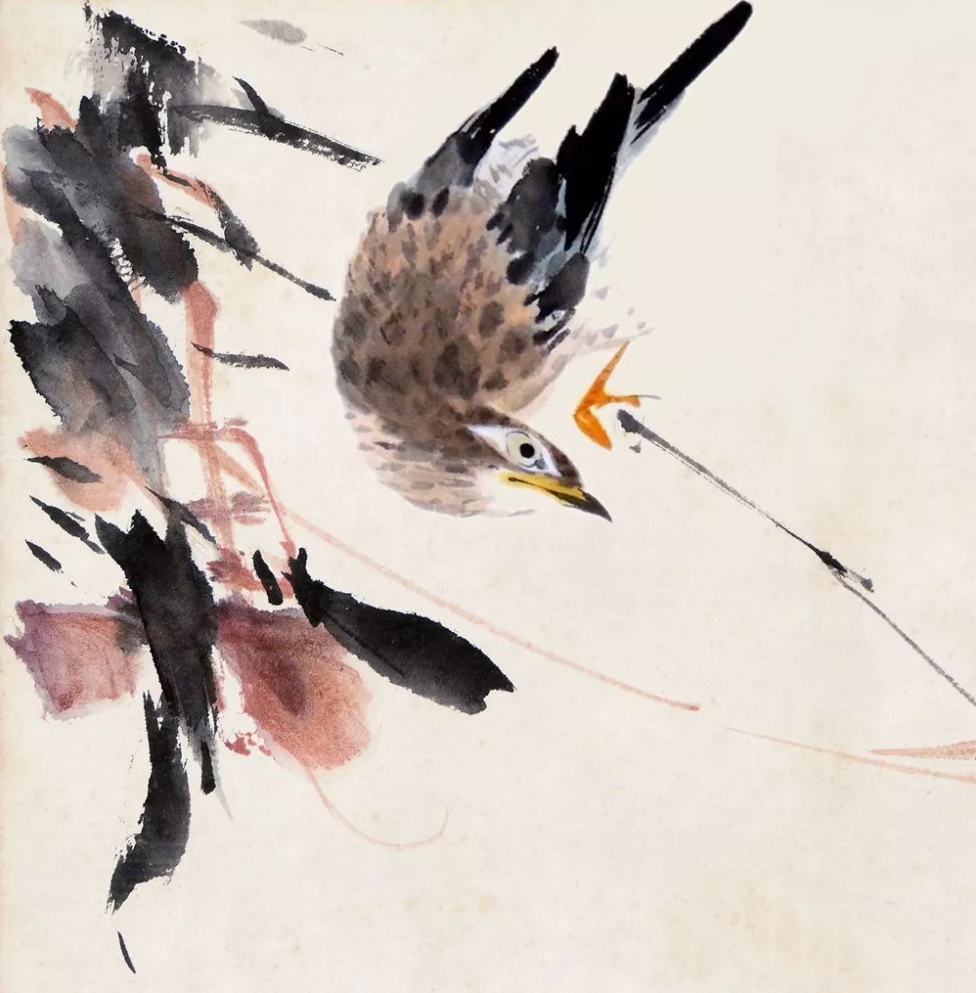 100幅禽鳥百圖，國畫鳥類美醉了！