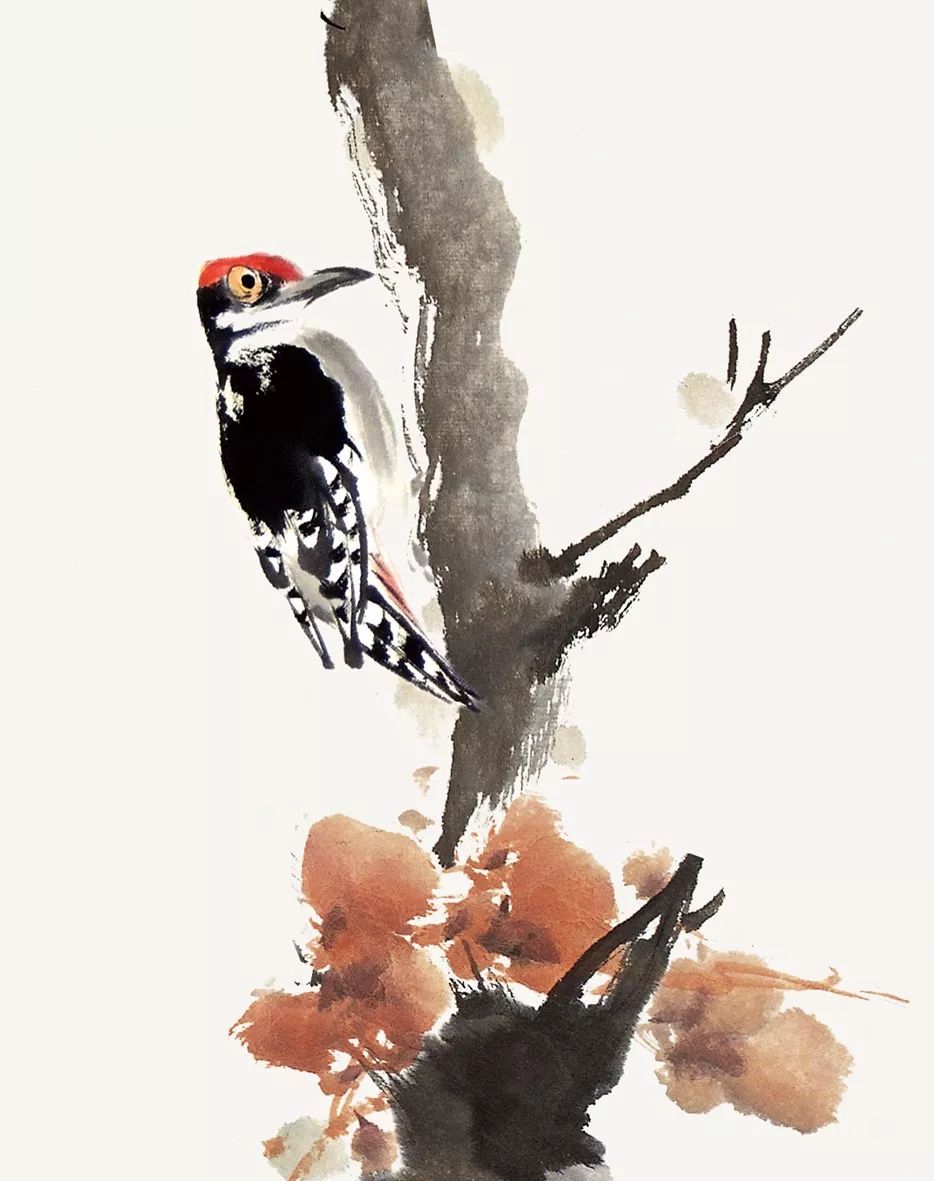 100幅禽鳥百圖，國畫鳥類美醉了！