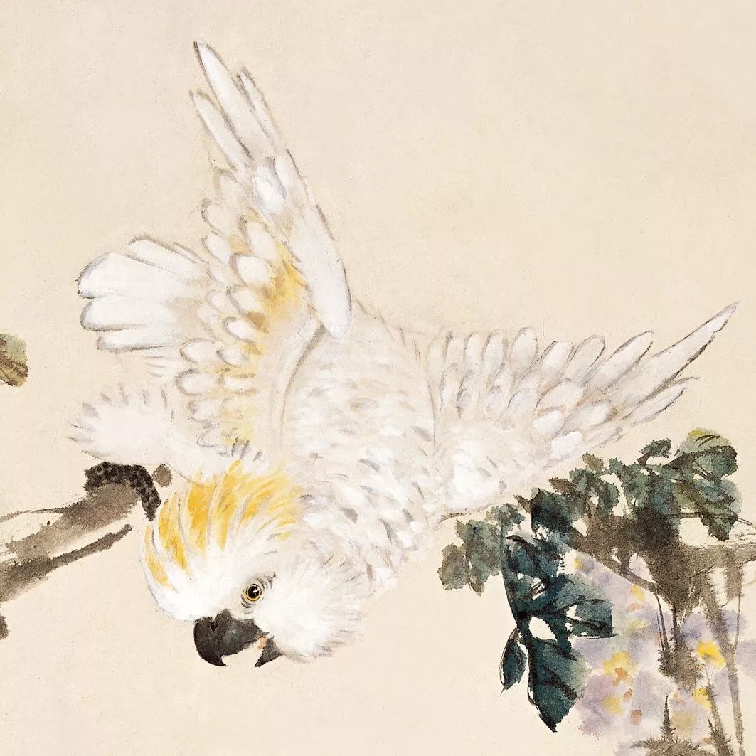100幅禽鳥百圖，國畫鳥類美醉了！