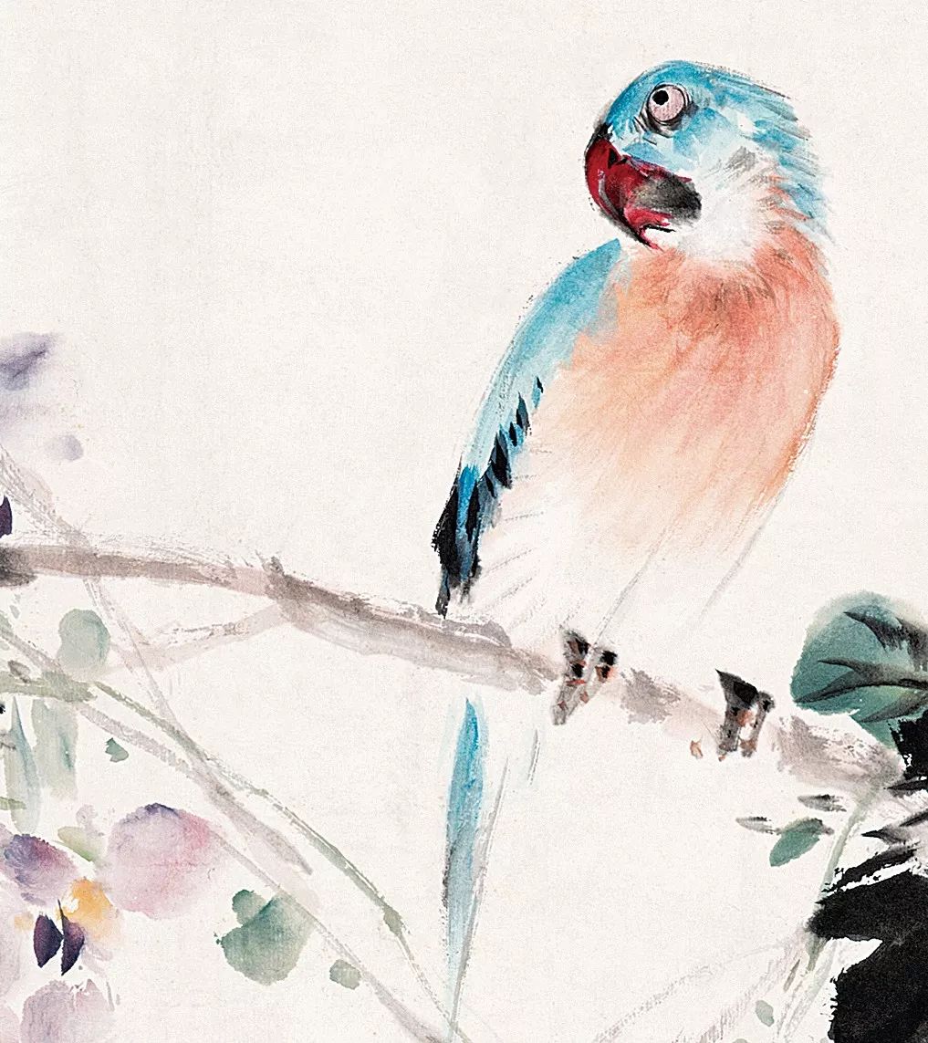 100幅禽鳥百圖，國畫鳥類美醉了！