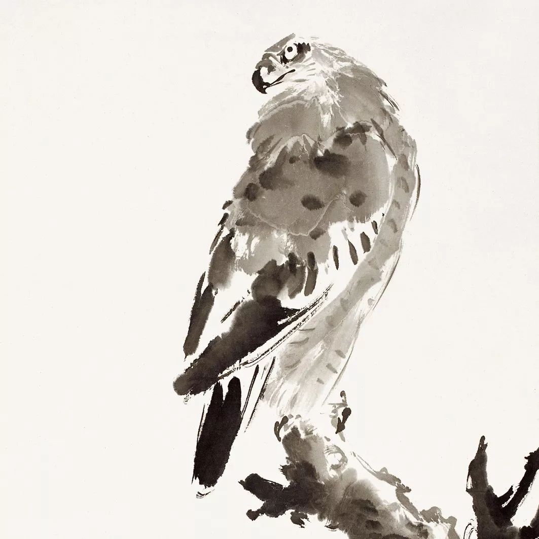 100幅禽鳥百圖，國畫鳥類美醉了！