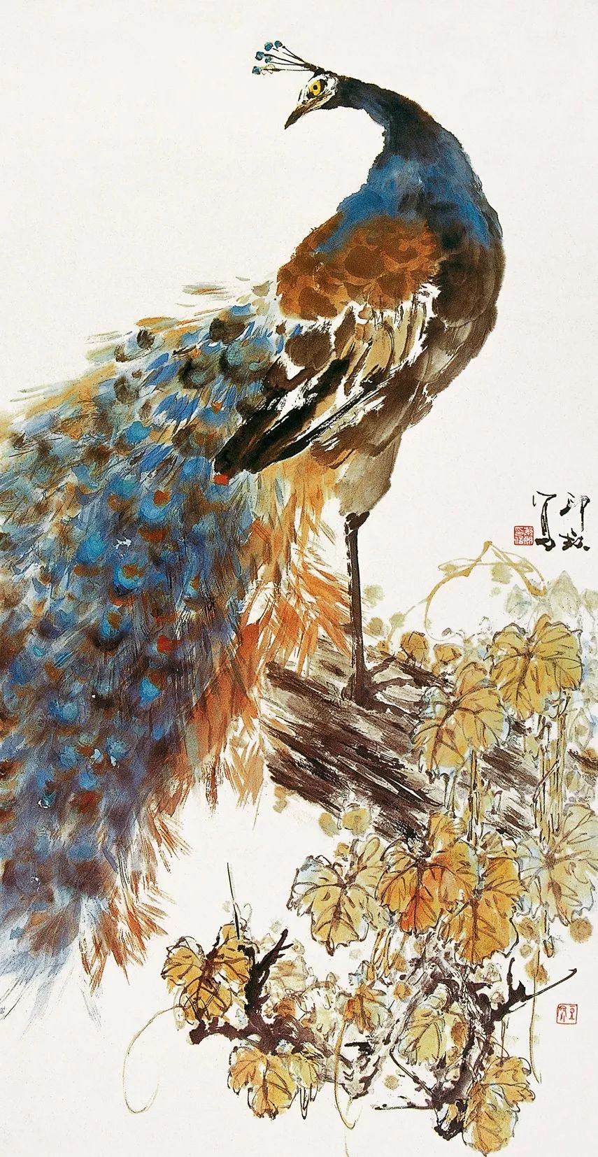 100幅禽鳥百圖，國畫鳥類美醉了！
