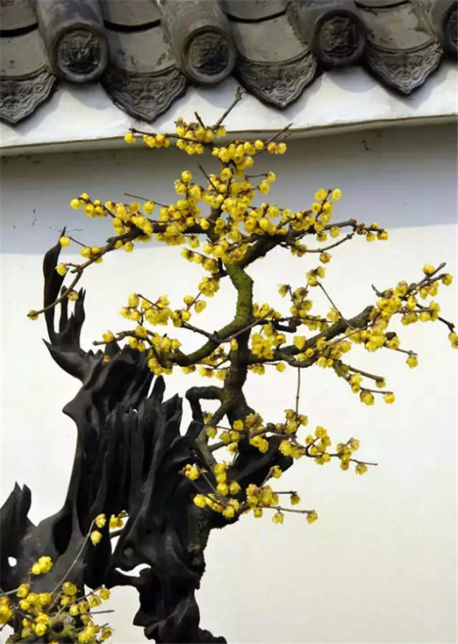 中國最美古建筑，古建筑攝影