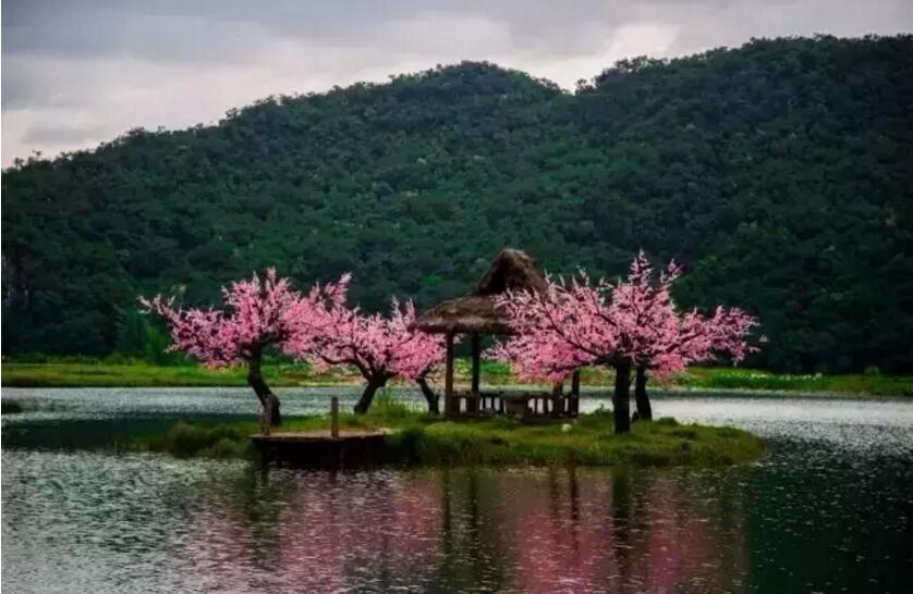 《三生三世十里桃花》的外景拍攝地！