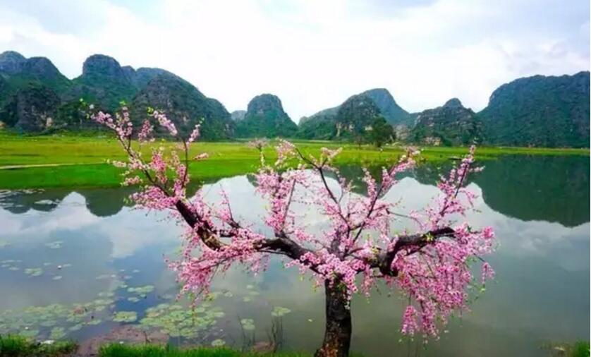 《三生三世十里桃花》的外景拍攝地！