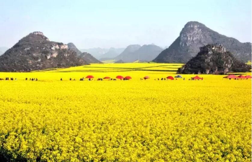 《三生三世十里桃花》的外景拍攝地！