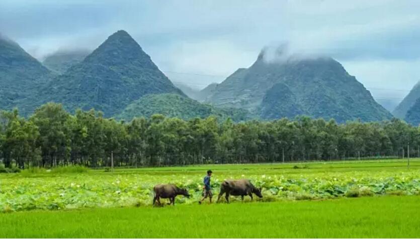 《三生三世十里桃花》的外景拍攝地！