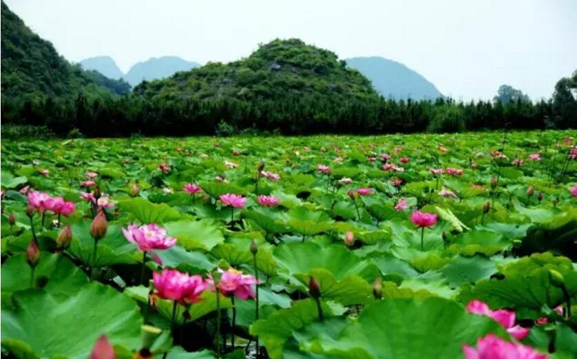 《三生三世十里桃花》的外景拍攝地！