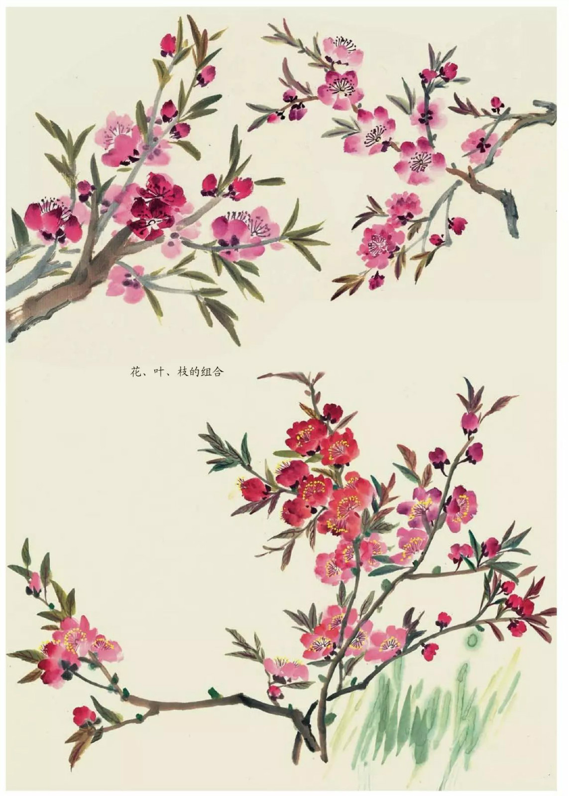 國畫技法：超詳細(xì)的國畫各種花卉畫法大全!