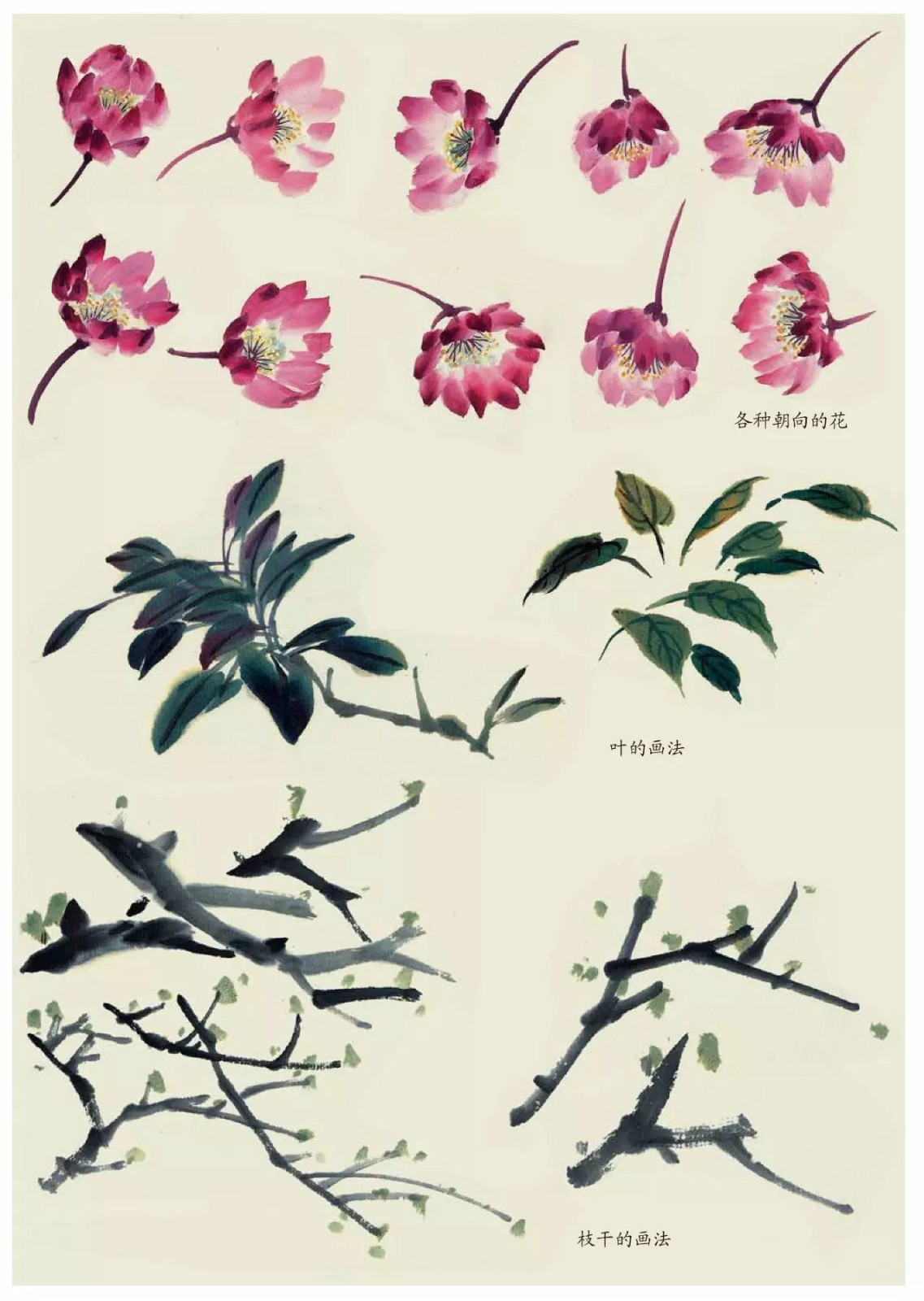國(guó)畫技法：超詳細(xì)的國(guó)畫各種花卉畫法大全!