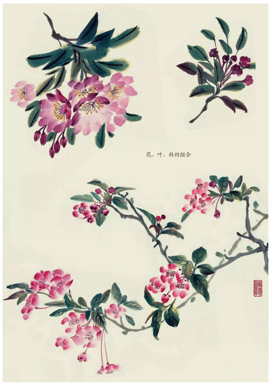 國(guó)畫技法：超詳細(xì)的國(guó)畫各種花卉畫法大全!
