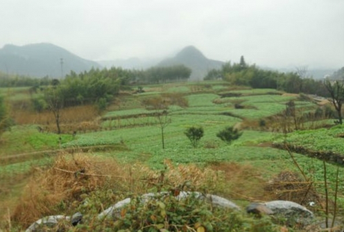 如何從表面判斷墓地的風(fēng)水情況？看墓地風(fēng)水的
