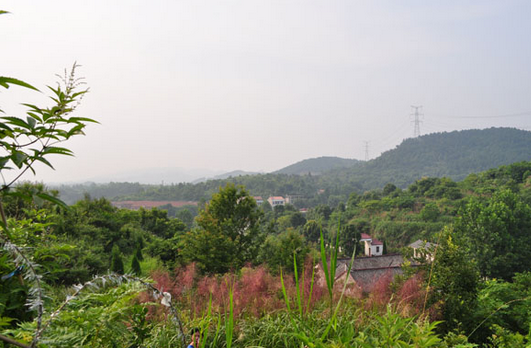 林彪祖墳風(fēng)水好嗎？揭秘林彪祖墳風(fēng)水