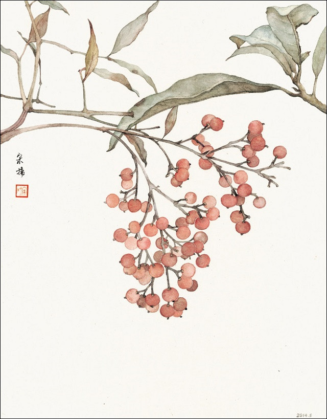 古典清雅宋揚國畫植物家具工筆畫（二）