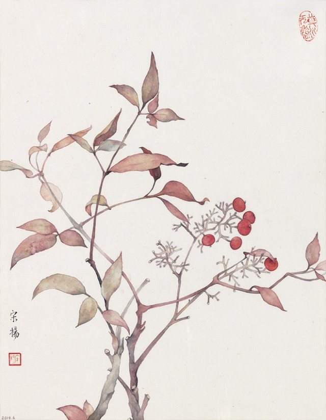 古典清雅宋揚國畫植物家具工筆畫（二）