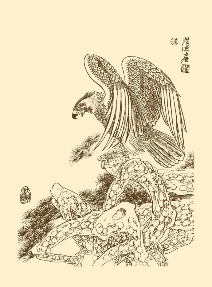梁啟德精美雄鷹白描作品