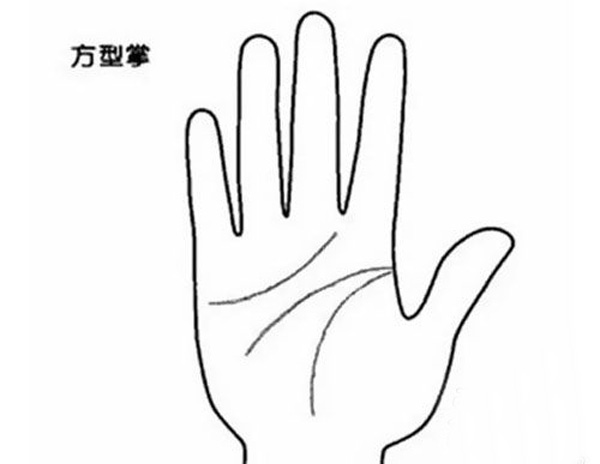 四種不同手掌外形，看出你的不同性格