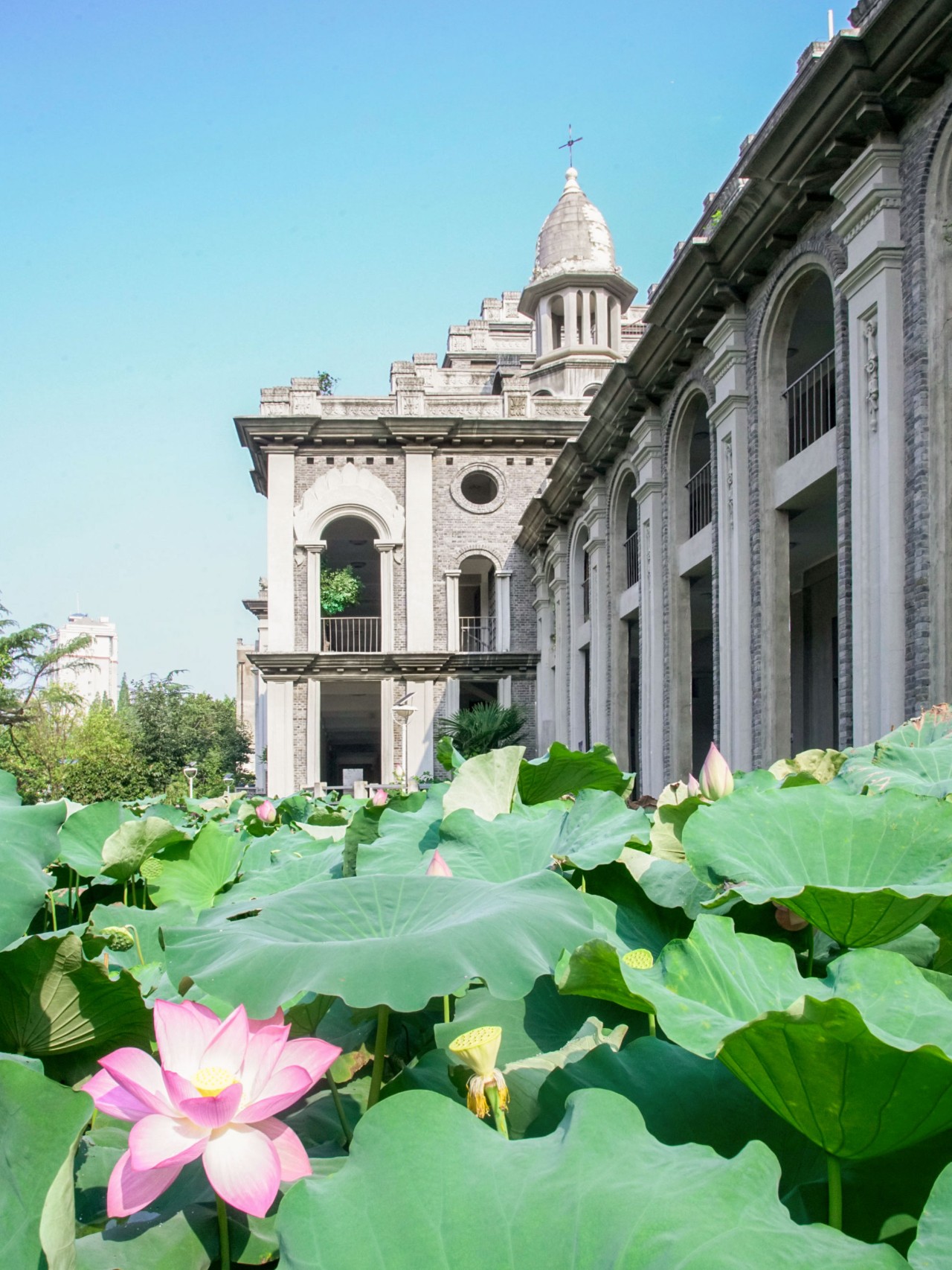 武漢鬧市的尼姑庵，全中國(guó)最美寺廟古德寺