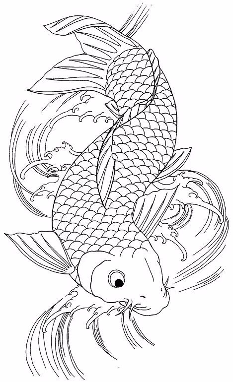 9幅白描畫《魚》：勾勒活靈活線的魚