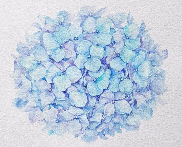 四季水彩花卉插畫，驚艷唯美!