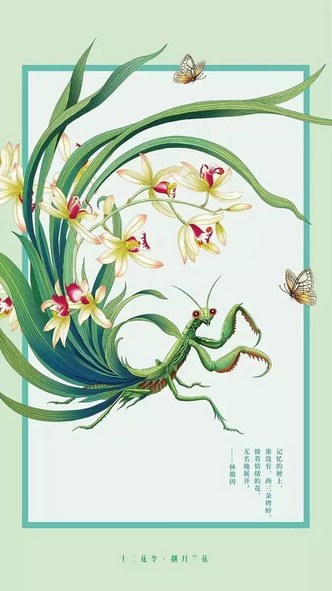 十二花令插畫圖片：以花為媒四季流轉(zhuǎn)