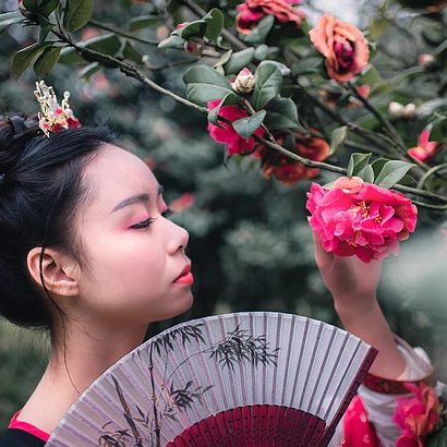 山茶花帶折扇女生頭像，唯美古風(fēng)真人頭像