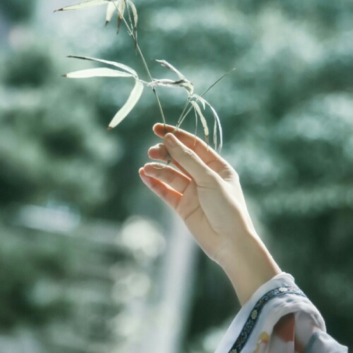 玉手撫枝古風(fēng)頭像，唯美女子纖手頭像