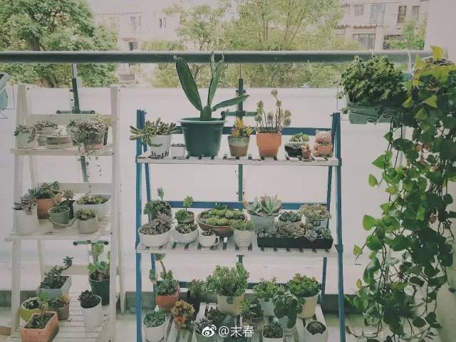 獨(dú)特中國美，最美插畫，膚如凝脂珠圓玉潤民國
