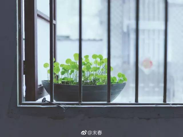 獨(dú)特中國美，最美插畫，膚如凝脂珠圓玉潤民國