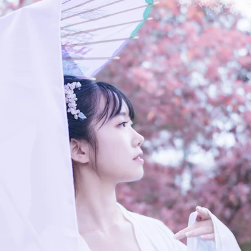 粉紫小清新帶團扇傘頭像，唯美古風真人頭像