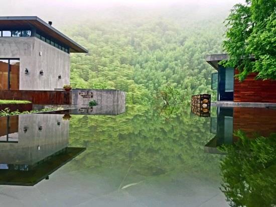 莫干山悠然九希，面朝竹海背向茶山的避暑圣地