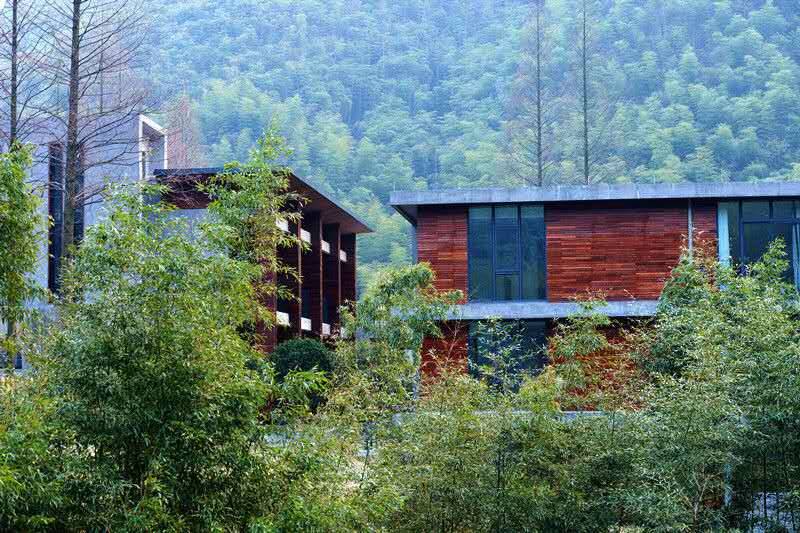 莫干山悠然九希，面朝竹海背向茶山的避暑圣地